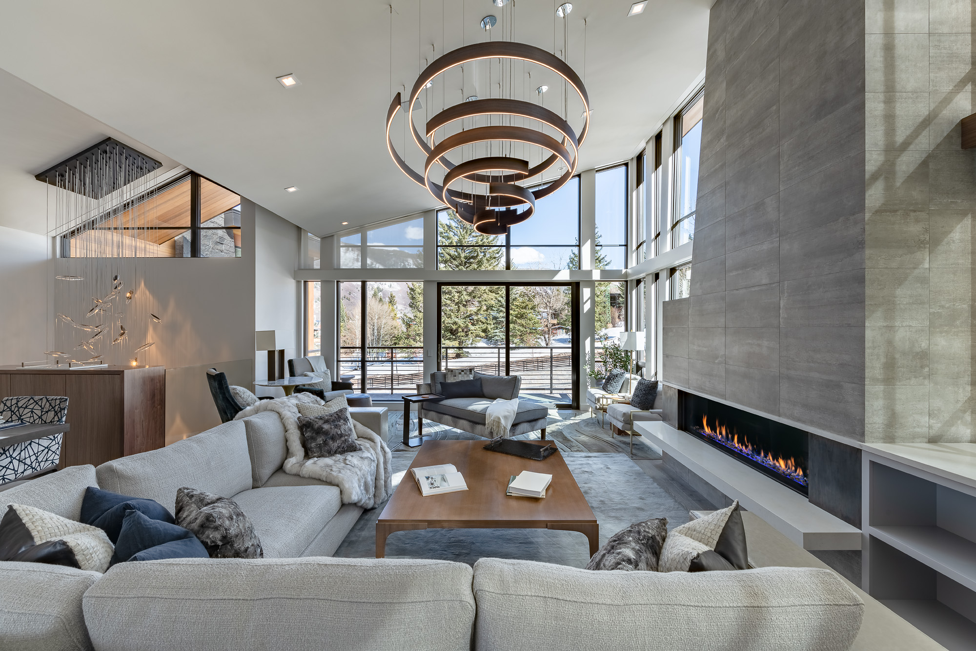 Aspen One